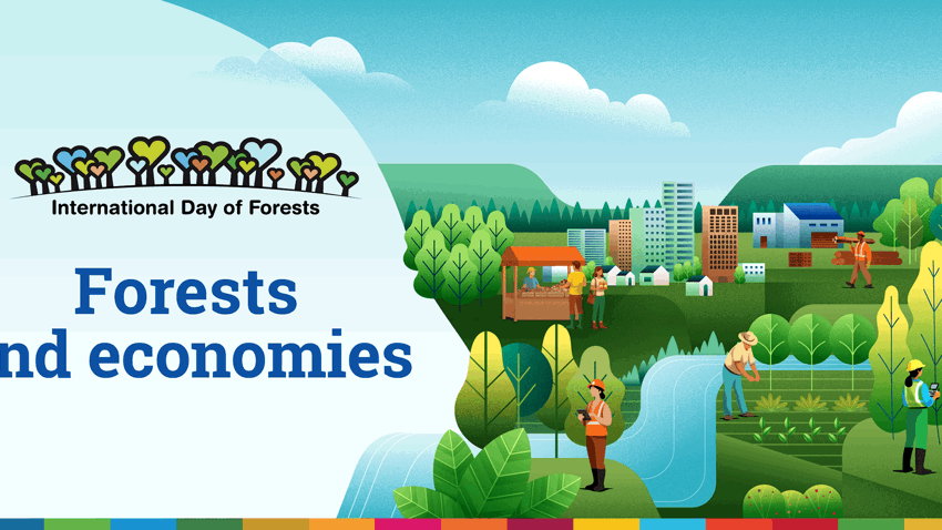 Celebrating International Day of Forests 2026